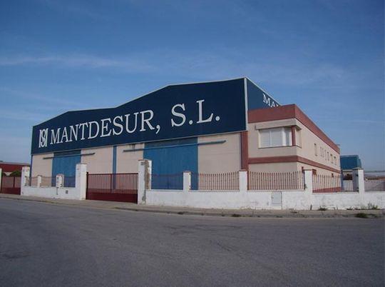 Mantdesur 